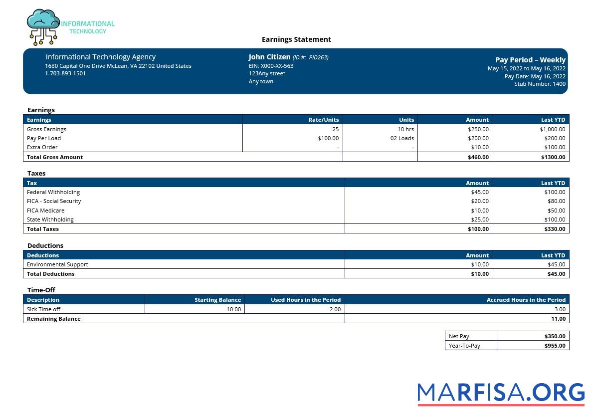 Downloadable Information technology company paystub sample